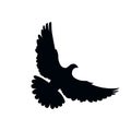 The silhouette of bird vector illustration in white background.