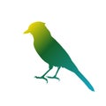 The silhouette of bird vector illustration in white background.