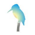 The silhouette of bird vector illustration in white background.