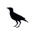 Crow, Raven, Bird, black icon. Royalty Free Stock Photo