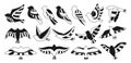 Bird abstract ornaments doodle stylized set linear modern trendy fowl glyph ethnic dove pigeon stamp