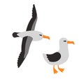 Bird Albatross Set Cartoon Vector Illustration Royalty Free Stock Photo