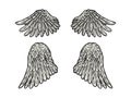 Bird angel wings set sketch engraving vector Royalty Free Stock Photo