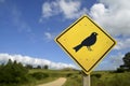 Bird animal wildlife concept icon on road sign Royalty Free Stock Photo