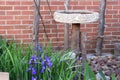 Bird bath in a garden setting Royalty Free Stock Photo