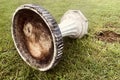 Bird bath garden columns pedestals on meadow.