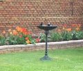 Bird bath in the old style with foot stand in front of the tulip bed bordered with a sandstone wall Royalty Free Stock Photo