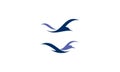 Bird beach logo vector Royalty Free Stock Photo