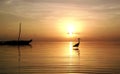 Bird on the beach