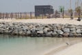 Bird on the beach. Sandy beach in Dubai. United Arab Emirates.