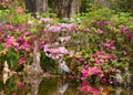 Bird in beautiful blooming garden.