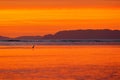 Bird with beautiful orange sunset. White heron in the nature coast habitat, delta of Tarcoles river, Costa Rica. Misty evening lan Royalty Free Stock Photo