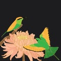 Bird bee-eater chrysanthemum