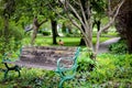 Bird sitting on a bench in a park Royalty Free Stock Photo