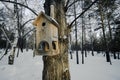 Bird birdhouse on tree in winter public park.