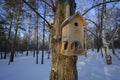 Bird birdhouse on tree in winter public park.