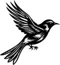 Bird - black and white vector illustration