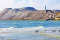 Bird, blue sky, beach and mountains, nature background Royalty Free Stock Photo