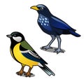 Bird blue tit and jackdaw isolated on white background. Vector cartoon close-up illustration.