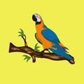 Bird Blue-and-yellow macaw standing on branches vector illustration Royalty Free Stock Photo