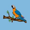 Bird Blue-and-yellow macaw standing on branches vector illustration Royalty Free Stock Photo