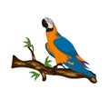 Bird Blue-and-yellow macaw standing on branches Royalty Free Stock Photo