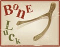 Bird bone superstitious recognized bone luck