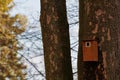 Bird booth hung on a tree. Spring home for birds Royalty Free Stock Photo