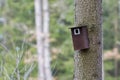 Bird booth hung on a tree. Spring home for birds Royalty Free Stock Photo