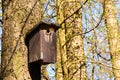 Bird booth hung on a tree Royalty Free Stock Photo