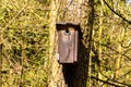 Bird booth hung on a tree Royalty Free Stock Photo