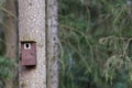 Bird booth hung on a tree. Spring home for birds Royalty Free Stock Photo