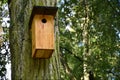 Bird box in the forest Royalty Free Stock Photo