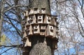 Bird boxes on the tree in spring. Many birds houses on the tree