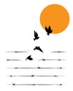 Barbed wire transforms into the flying birds on sunset, vector. Flying birds silhouettes isolated on white background. Royalty Free Stock Photo