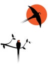 Barn swallow silhouette on branch on sunset, vector. Two birds silhouettes on wire isolated on white background Royalty Free Stock Photo