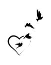Flying birds silhouettes and heart shape, isolated on white background Royalty Free Stock Photo