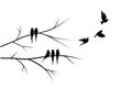 Flying birds silhouettes and birds on branch illustration isolated on white background Royalty Free Stock Photo