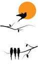Flying bird silhouettes and birds on a tree illustration and sunset Royalty Free Stock Photo