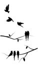 Flying bird silhouette and birds on a tree illustration Royalty Free Stock Photo