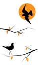 Flying bird silhouettes and birds on a tree illustration and sunset Royalty Free Stock Photo