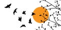 Flying birds silhouettes and trees illustration on sunset, vector Royalty Free Stock Photo