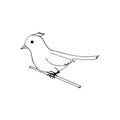 Bird on a branch icon, sticker. sketch hand drawn doodle style. minimalism, monochrome. Spring