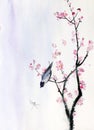 Bird on a branch of sakura