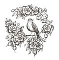 Bird on branch vector. Nightingale and flowers hand drawn sketch in vintage engraving style Royalty Free Stock Photo