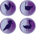 Bird buttons