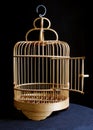 Bird cage Royalty Free Stock Photo