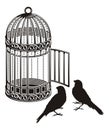 Bird cage Royalty Free Stock Photo