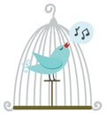 Bird in cage Royalty Free Stock Photo