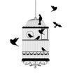 Bird cage with birds flying vector illustration Royalty Free Stock Photo